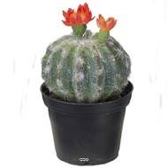 Cactus fleuris artificiels en pot lot de 3 Cactées factices H13-20cm