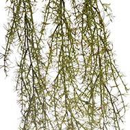 Chute d'asparagus springeri artificiel L 84 cm vert