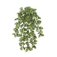 Chute d'Aphelandra artificielle, ou plante zbre L 45 cm vert-blanc