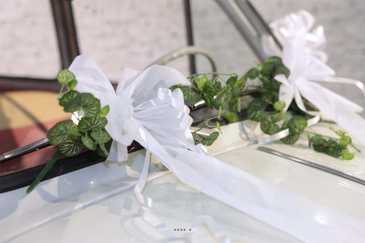 rencontre mariage blanc