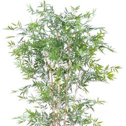 Bambou artificiel en pot special UV pour extérieur H 210 cm Vert