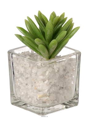 Agave artificielle succulente cactée en pot verre et cailloux blanc