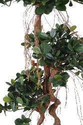 Ficus Panda sur tronc deforme H 140 cm 1812 feuilles artificiel