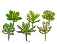 Plantes grasses artificielles succulentes cactes X6 ttes melangees