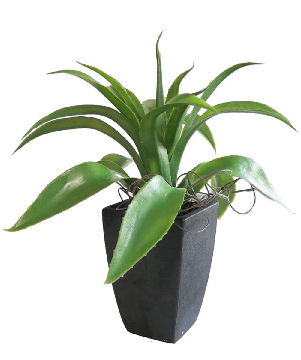 Agave Succulente plante artificielle cacte en pot H 29 cm Vert Type A