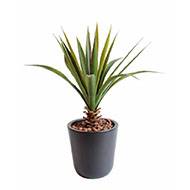 Aloe artificielle en piquet pour extrieur H 45 cm