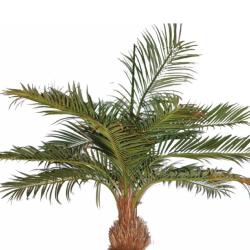 Palmier Coco artificiel H 700 cm D 320 cm 19 palmes sur platine