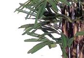 Palmier Raphis Artificiel tres dense en pot H 180 cm Vert