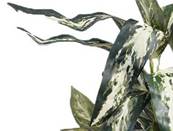 Feuillage artificiel grandes feuilles en piquet H 55 cm vert-blanc