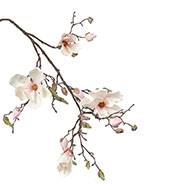 Branche de magnolia artificiel 4 fleurs 22 boutons H 107 cm Rose-crème