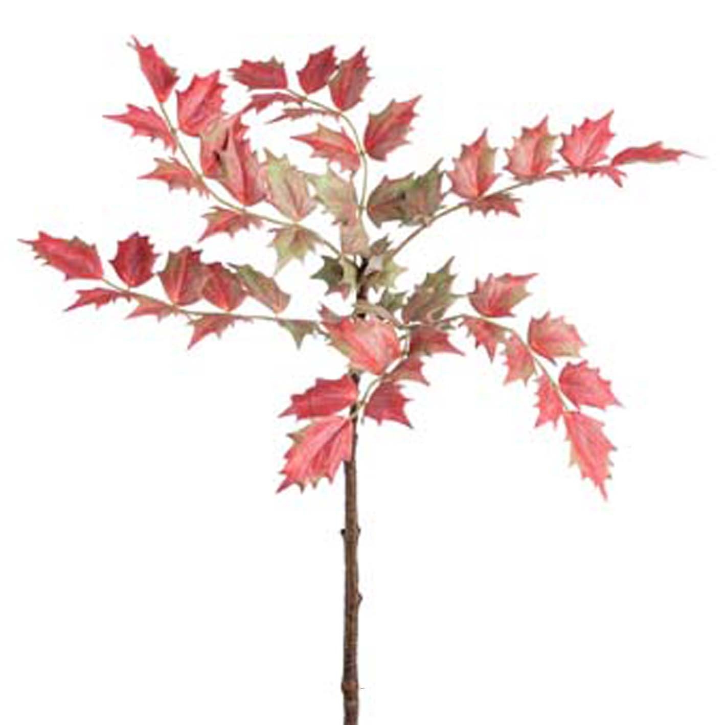 Branche de Mahonia artificielle H 70 cm D 35 cm 6 grandes feuilles vert rose