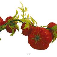 Guirlande de 36 tomates artificielles en Plastique soufflé L 2 m