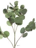 Branche d’Eucalyptus artificielle, 3 ramures, H 88 cm - BEST