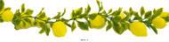Guirlande de 20 citrons artificiels en Plastique souffl L 2 m