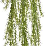 Chute d'asparagus artificiel L 80cm vert clair