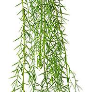 Chute d'asparagus artificiel L 100 cm D 17 cm 3 ramures