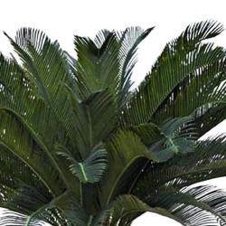 Palmier Cycas artificiel sur pied H 100 cm superbe