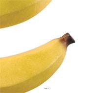 Banane artificielle géante en lot de 2 Plastique soufflé L 330x60 mm