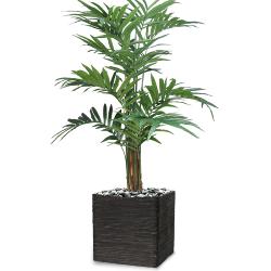 Palmier Kentia Artificiel H 210 cm en pot