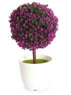 Mini plante topiaire Violet dco H25 cm en pot plastique blanc superbe
