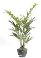 Palmier Kentia artificiel en pot superbe de ralisme H 180 cm Vert