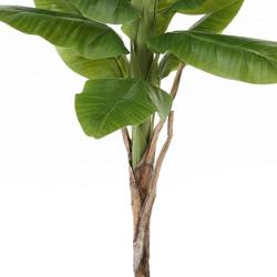 Bananier artificiel en pot Tronc naturel H 120 cm Vert