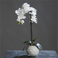 Orchidee artificielle crème 1 hampe en pot Ceramique Blanc H 46 cm