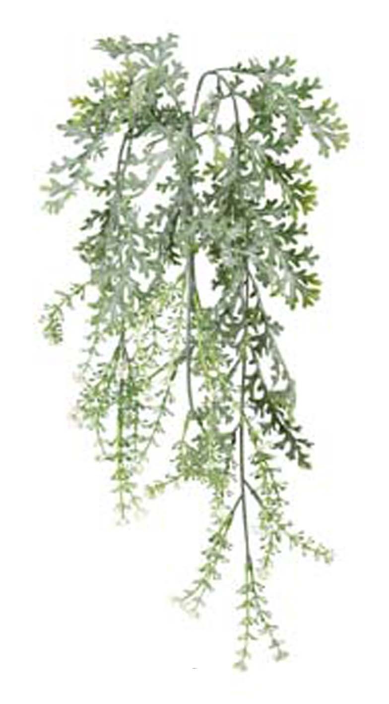 Chute de senecio cineraria artificiel en fleurs Longueur 65 cm plastique