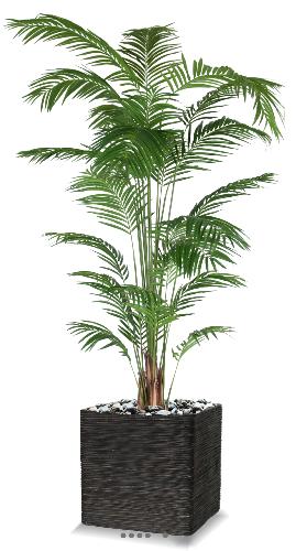 Palmier Areca artificiel H 270 cm sur tronc en pot