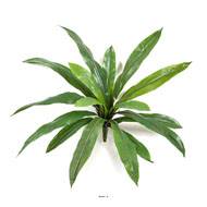 Fougère Asplenium artificielle en piquet 16 feuilles H 35 cm D 40 cm Vert