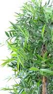 Bambou feuillage PE anti UV en Haie socle bois L110cm H150cm Vert