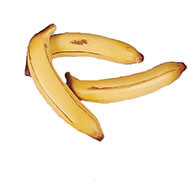 Banane artificielle grande taille X 3 en Plastique souffl L 190x35 mm