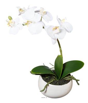 orchide artificielle en pot