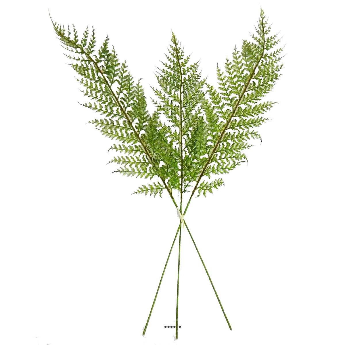 artificielles Feuilles X3 de fougere des forets artificielles H 64 cm superbe du site Artificielles.com