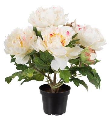 Pivoine artificielle en pot H 35 cm 4 fleurs et 2 boutons Blanc rose