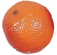 Orange artificielle en lot de 3 en Plastique soufflé D 75 mm