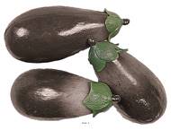 Aubergines artificielles en lot de 3 en Plastique soufflé L 135x60 mm