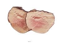Tranches de rosbeef roti en lot de 2 en Plastique souffl L 130x100 mm