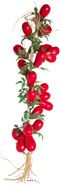 Grappe de 20 Tomates Artificielles San Marzano 55cm D 15 cm – Réplique en Plastique Soufflé