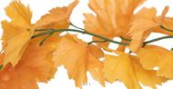 Guirlande de Vigne Automnale Artificielle 200 cm D 15 cm - 59 Feuilles Mixtes