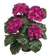 Hortensia en pot artificiel lest H 40 cm 5 superbes ttes Bourgogne