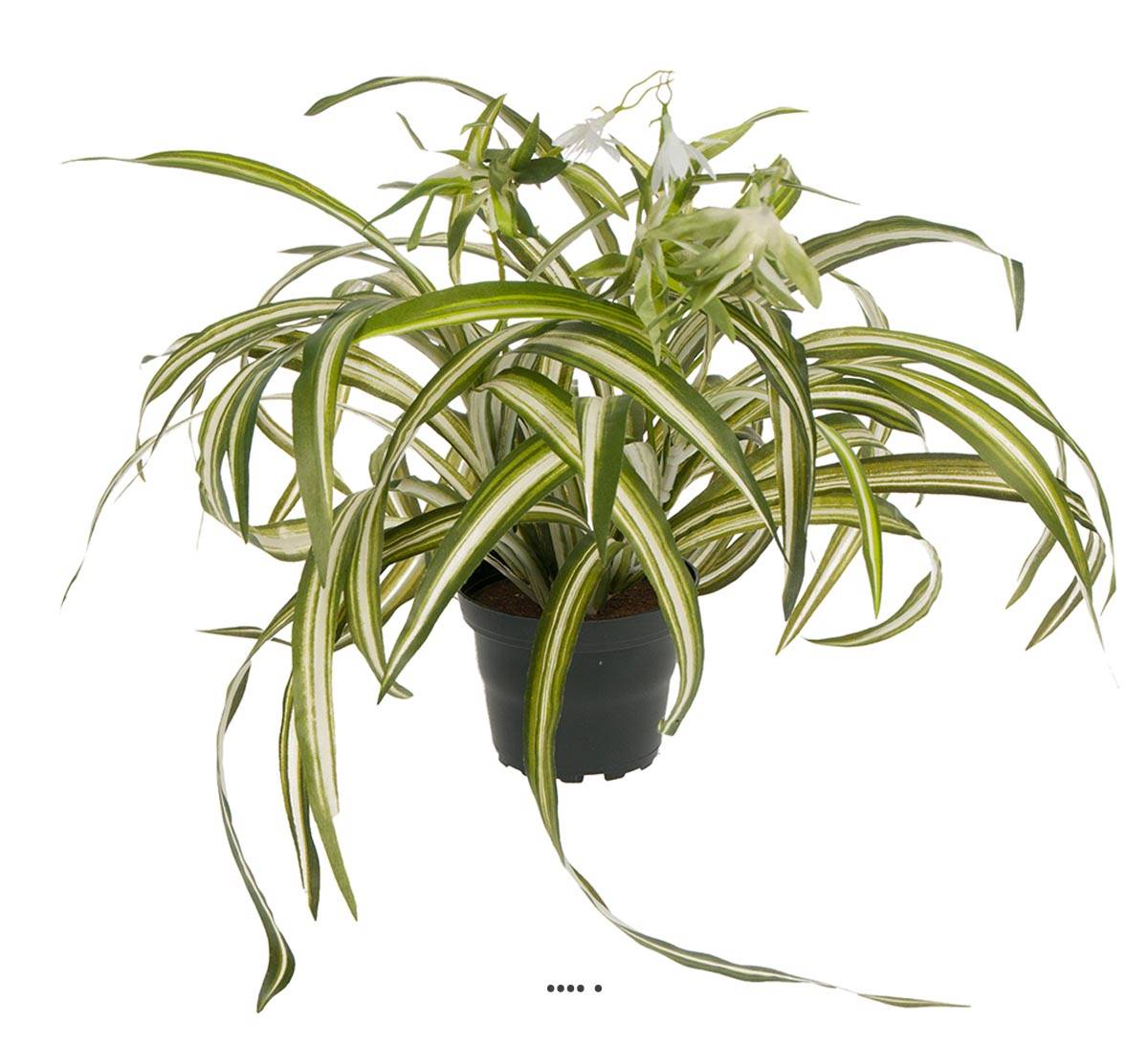 Chlorophytum plante artificielle en pot H 35 cm tres dense