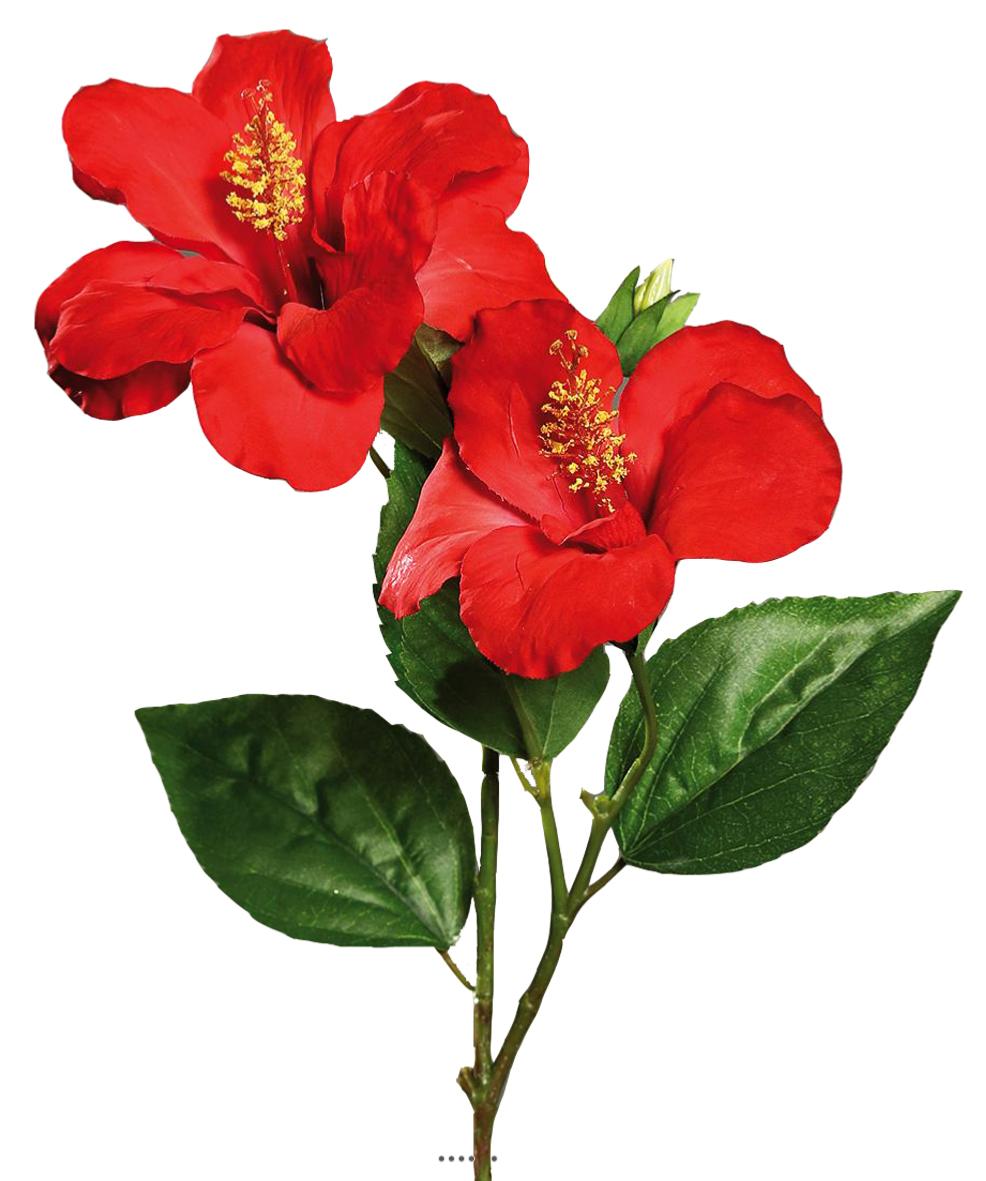 Hibiscus artificiel en branche H 65 cm 2 fleurs exotiques |  Artificielles.com.