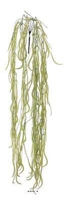 Hoya artificiel en chute, 5 ramures plastique, L 90 cm