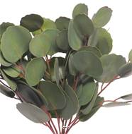 Buisson de branches d’eucalyptus artificielles, H 30 cm - BEST