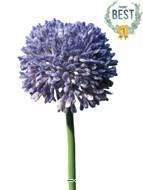 Allium artificiel en tige H 45 cm Lavande - BEST