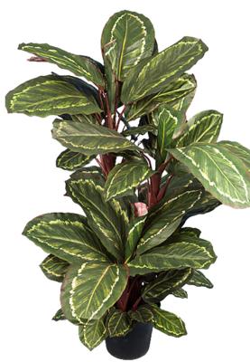 Maranta plante artificielle en pot H 104 cm très dense feuillage tissu