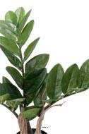 Zamioculcas zamiifolia artificiel en pot H 45 cm, D 40 cm
