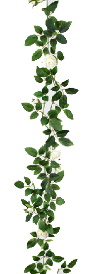 Guirlande de roses et feuillage artificiel L 160 cm Crème