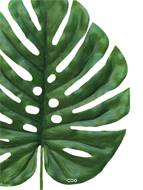 Feuille de Monstera artificielle, H 46 cm, D 26 cm - BEST